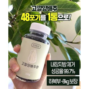 고깔양배추환 100g, 1개