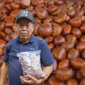 -맛있는 진짜 햇 공주밤 공주 옥광밤 알밤 생 깐밤 1kg 2kg, 12) 군밤용 칼집밤(대) 1kg, 1개