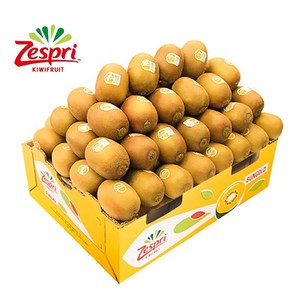 제스프리 썬골드키위 5.7kg 대용량, 1개, 점보 개별 150g내외 36~37개입