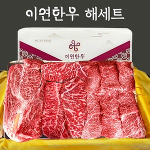 이연한우 1++ 투뿔 구이용 한우선물세트 해세트(등심+채끝+살치), 1개, 1kg