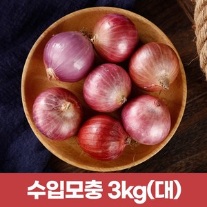 2025햇샬롯 모충 살롯3kg (큰사이즈), 3kg, 1개