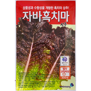 권농종묘 자바상추씨앗300립코팅씨앗, 1개