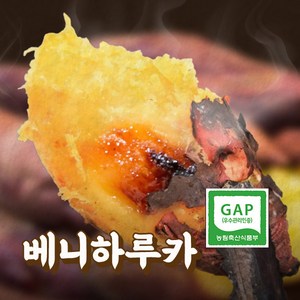 에이푸드 해남 꿀고구마 농장직송, 1개, 특상 5kg