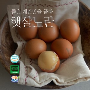 [햇살노란] 구운계란 훈제란 생계란 혼합 패키지 무항생제인증 친환경 HACCP 식품안전관리인증 계란 15구 30구 60구, 1박스, 특란+구운란