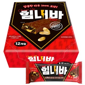 힘내바 초코 스니커즈, 480g, 1개