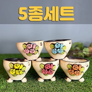 다육맘 국산수제화분 도향#442, 5종세트, 1개