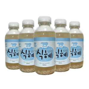 맛 진한 얼음동동 전통 식혜 500ml * 5개입 / 국내산 떡집 찜질방 냉동 식혜 여름 등산 간식, 5개