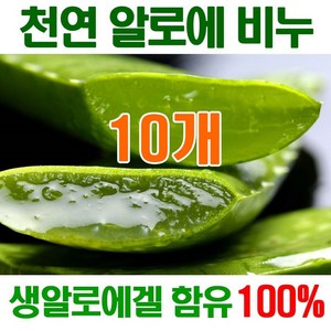 [오후5시 당일발송] 고농축 알로에비누 촉촉촉 보습진정 에너지 생 알로에천연비누 세수비누 비누 알로에 세안비누 천연 얼굴 YB맘, 100g, 10개입
