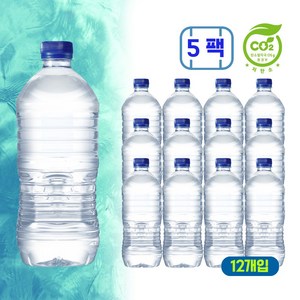 먹는샘물산수 에브리데이 산수 무라벨, 1L, 60개