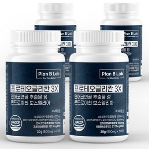 플랜비랩 프로테오글리칸 3X 연어코연골 추출물 750mg 콘드로이친 보스웰리아, 4개, 60정