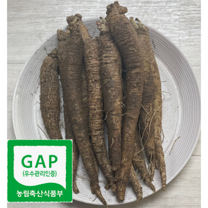 우수관리 인증-강원도 홍천 더덕 흙더덕 중 상 특, 1kg (특), 1개