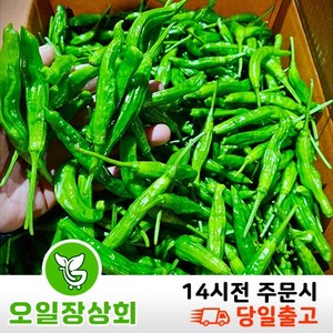 행사< 오일장상회 > 국내산 꽈리고추 500g 1kg 2kg, 1개, 랜덤2kg내외