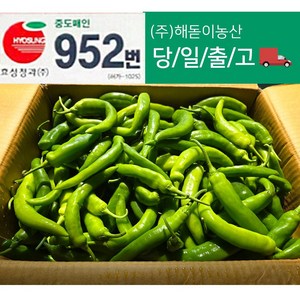 해돋이농산 국내산 아삭이고추 오이고추 오이맛고 못난이고추 1kg 2kg 3kg 5kg 10kg, 1개