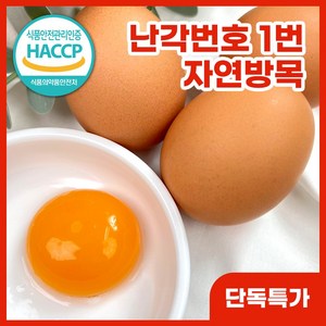 카몬 친환경 계란 자연방목 황동유정란 난각번호1번 무항생제 자연방사 유정란 달걀 HACCP, 1개, 40구