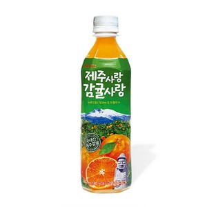 롯데칠성음료 제주감귤 500ml x 24펫, 24개