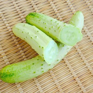 [재구매1위] 품질대박 국산 오이지오이 대용량, 1박스, 5kg(40-50개입)