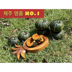 <제주빛가람> 제주 미니 밤호박 보우짱, 1박스, 2kg