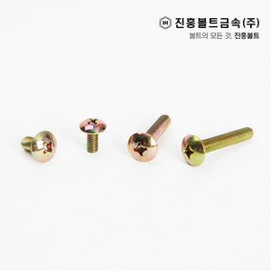 일반 트러스 머리 볼트(6mm ~ 50mm) M4 M5 M6, 35mm, 1개