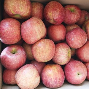 [초특가 꿀사과] 경북 산지직송 가정용 주스용 못난이 부사 사과, 10kg(중과), 1개