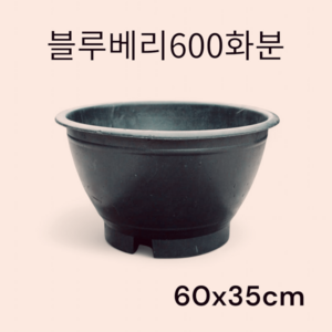 블루베리 600화분 대형화분 대형플라스틱화분, 1개