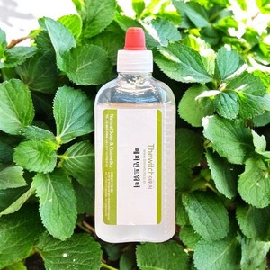 [더위치] 유기농 페퍼민트워터 100ml 페퍼민트잎수 Mentha Piperita Peppermint Leaf Water, 1개