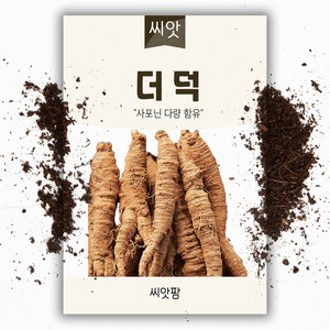 더덕씨앗(1500립), 1개