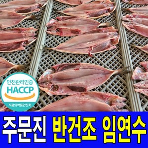 주문진 국내산 반건조 손질 임연수 5마리 1세트 625g 임연수어 이면수 이면수어 구이용 조림용 반건조생선