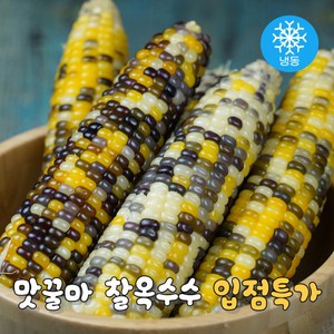 맛꿀마 쫄깃탱글 냉동 찰옥수수 삶은옥수수 알록이, 30개