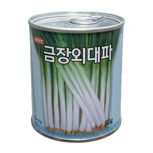 경신종묘 대파씨앗 금장외대파 80g, 1개