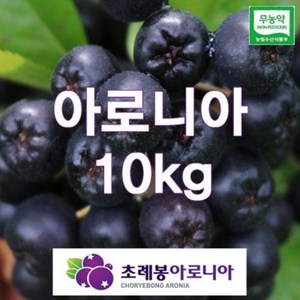 24년 유기농 자연초생재배 초례봉아로니아냉동생과열매 상급 10kg(꼭지있는것) / 농장 직배송, 10kg, 1개