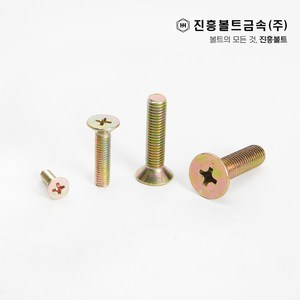 일반 접시머리 볼트 사라볼트 (6mm ~ 100mm) M3 M4 M5 M6 M8 M10 M12, 20mm, 1개