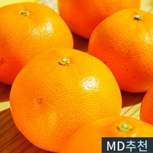 당도선별 고당도 제주 감귤 귤 로얄과 10KG... 1개