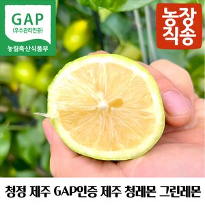 제주 GAP인증 제주레몬생과 제주그린레몬 제주청레몬 제주도산레몬 국산제주레몬 제주산생레몬 제주레몬생과 제주도친환경레몬 제주레몬gap 제주햇레몬 제주왕레몬 제주노란레몬, 1개, 제주레몬 1kg