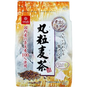 이시가키식품 후지 미네랄 보리차 티백 (30g X 30개) 900g, 30g, 30개입, 1개