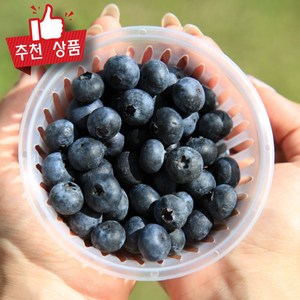 직수입 프리미엄 블루베리 생과 개별포장 생블루베리 대과, 6개, 100g