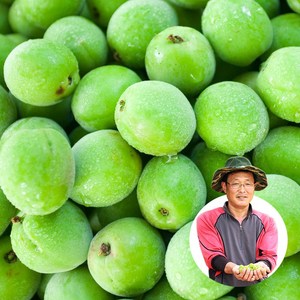 [6월초일부터 출고] 맑은물농원 하동 청매실 10kg 깐매실 3kg 6kg, 1박스, 청매실 왕특 10kg
