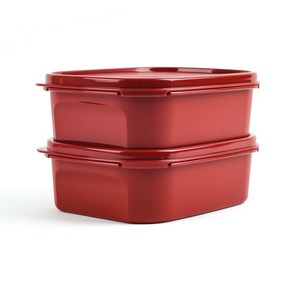 타파웨어 Tupperware 김치통 직사각 850ml, 2개