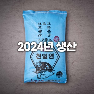 고고좋소 2024년산 신안 국산 천일염, 1개, 10kg