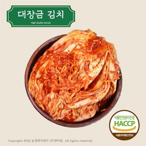 대장금 김치 10kg (생김치/ 국내산 배추로 만든 신선한 김치), 1개