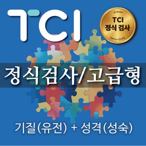 TCI 기질 및 성격 정식 심리검사 온라인용 고급형 결과지 2장 해석 보고서 6장 전문가 솔루션, 성인및 대학생, 고등학생, 중학생