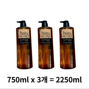 미쟝센 헤어 앤 스칼프 손상 케어 샴푸 허브 스파이시 머스크 향, 3개, 750ml