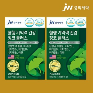 JW 중외제약 징코플러스 은행잎추출물(미국산) 120mg 비타민E 비타민B1 B2 B6 아연, 30정, 2개