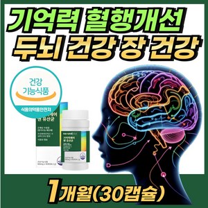 식약처인증 기억력 혈행개선 두뇌 뇌 장 건강 은행잎 추출물 프로바이오틱스 유산균 영양제 MEMORY & PROBIOTICS 플로보놀 배당체 혼합유산균 김치유래유산균 함유 더:익, 3개, 30회분