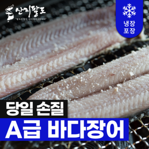 [산지팔도] 통영 직송 자연산 바다장어 손질장어 캠핑 구이용 100% 품질보증, 1박스, 실속형 손질 통영 바다장어 1kg (약 2~3미)