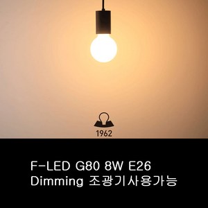 IKEL [일광전구] F-LED A60 8W E26 디밍전구, 일광 불투명 8W, 1개