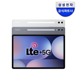 삼성전자 갤럭시탭 S10 플러스 256GB/512GB, Wi-Fi, 512GB, 문스톤 그레이