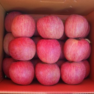 [삼부자네] 경북 청송 고당도 얼음 꿀 사과 선물용(정품), 1박스, 5kg 대과 (정품)
