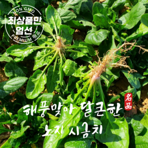 남해 해풍맞아 달큰한 보물초 노지 시금치, 1박스, 1kg