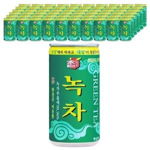 참맑은 녹차 175mL 90캔, 90개