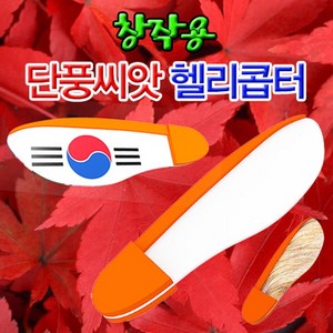 자람사이언스 창작용 단풍씨앗 헬리콥터 (10인용)